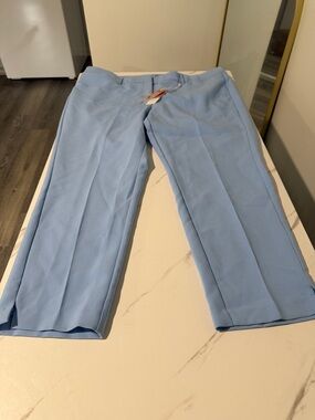 Lane Bryant Light Blue Women's Pants - The Allie